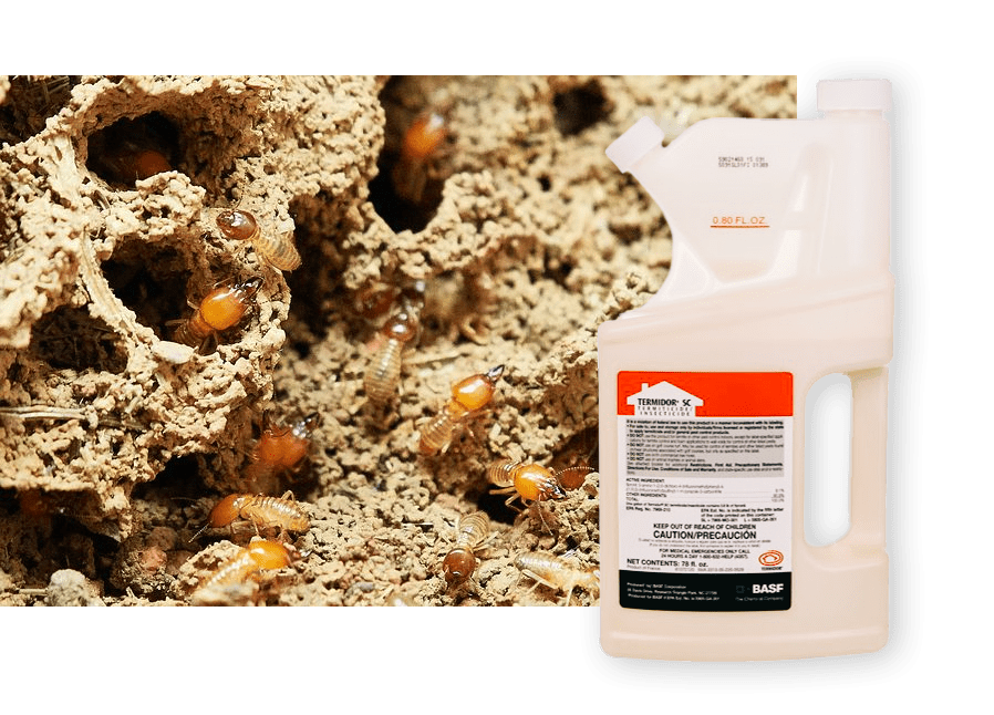 Termidor termite control bottle overlaid on image of burrowing termites
