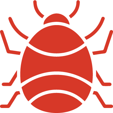 image of bed bug