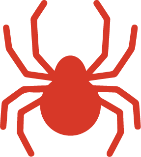image of spider