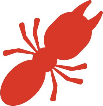 image of termite